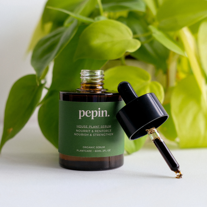 Houseplant Serum