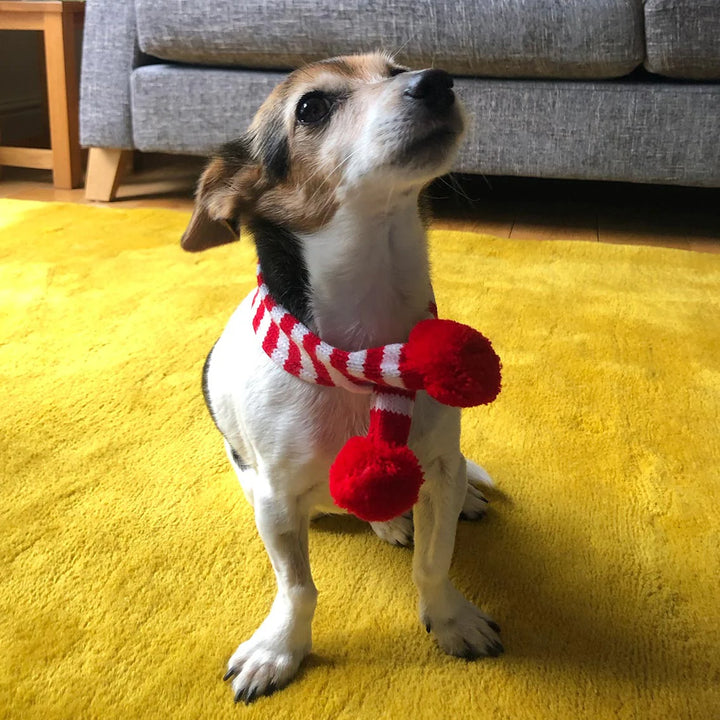 Crochet Christmas Scarf for Cats