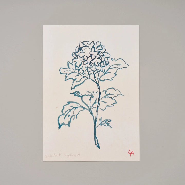 Hydrangea Art Print