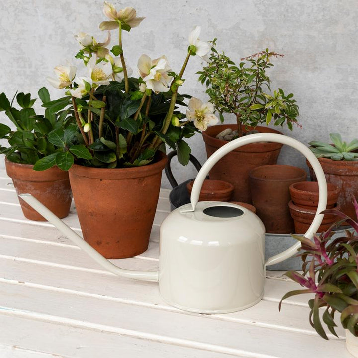 Stone Grey Watering Can