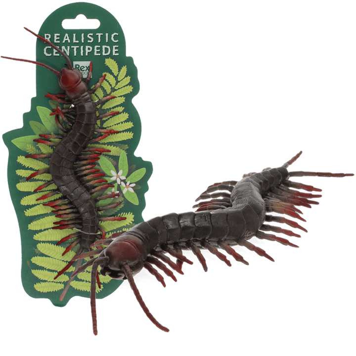 Realistic Centipede Toy