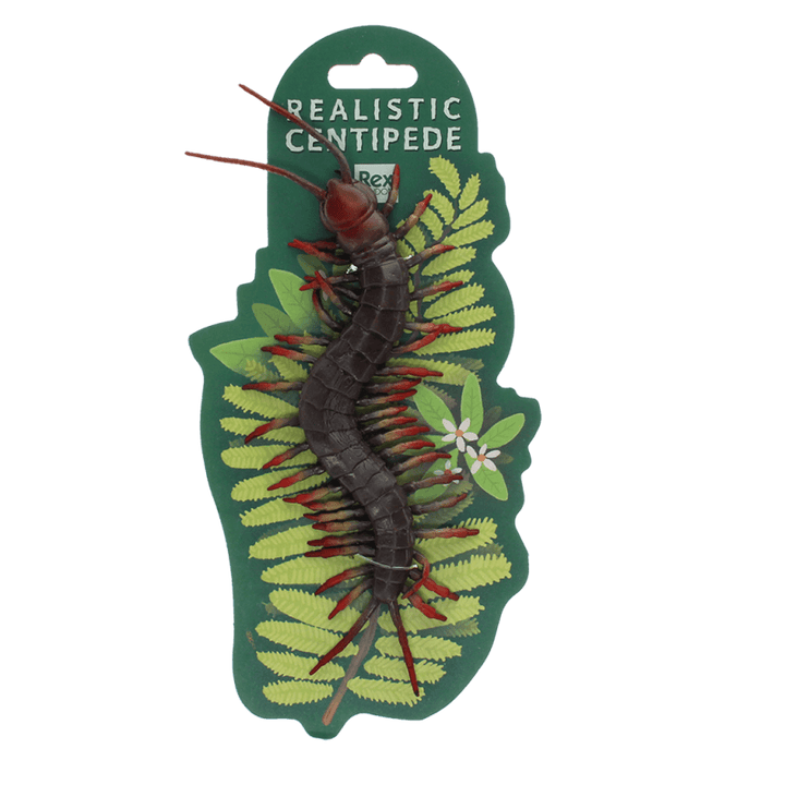 Realistic Centipede Toy